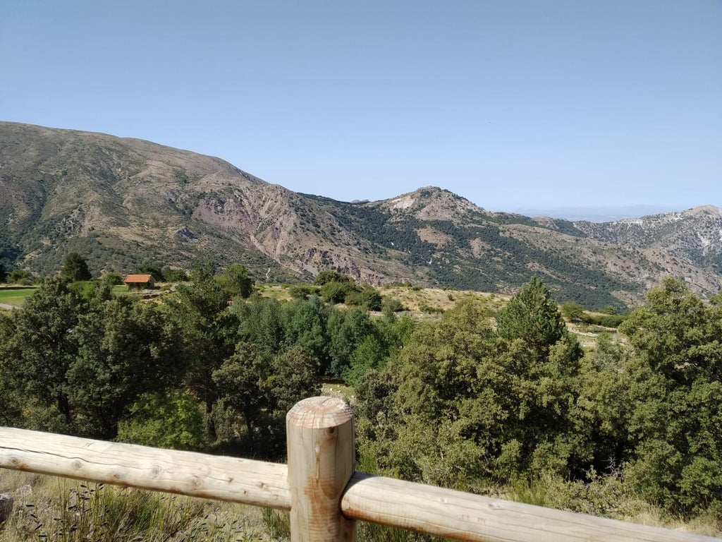 Terreno en Baix Camp