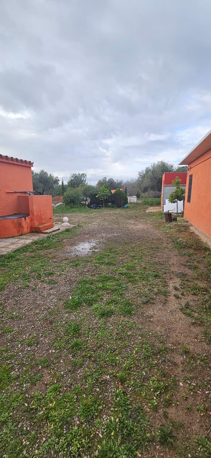 Terreno en Baix Camp