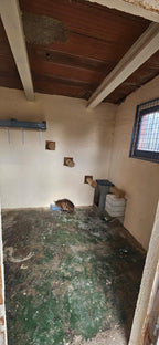 Terreno en Baix Camp