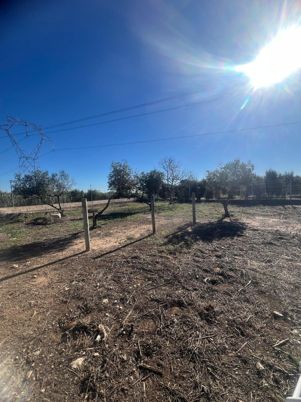 Terreno en Baix Camp