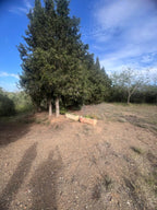 Terreno en Almoster