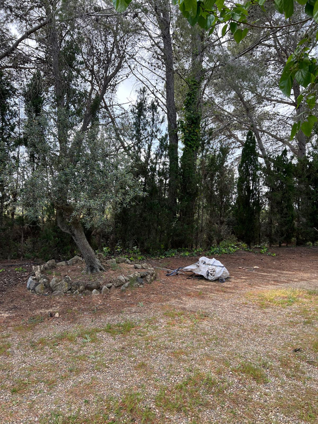Finca Rústica en Botarell